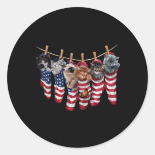 Patriotic Kittens In Aamerican Flag Socks Funny Classic Round Sticker
