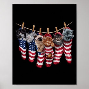 Patriotic Kittens In Aamerican Flag Socks Funny Poster