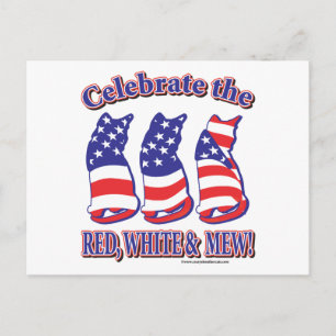 Patriotic Kitty Cats Postcard