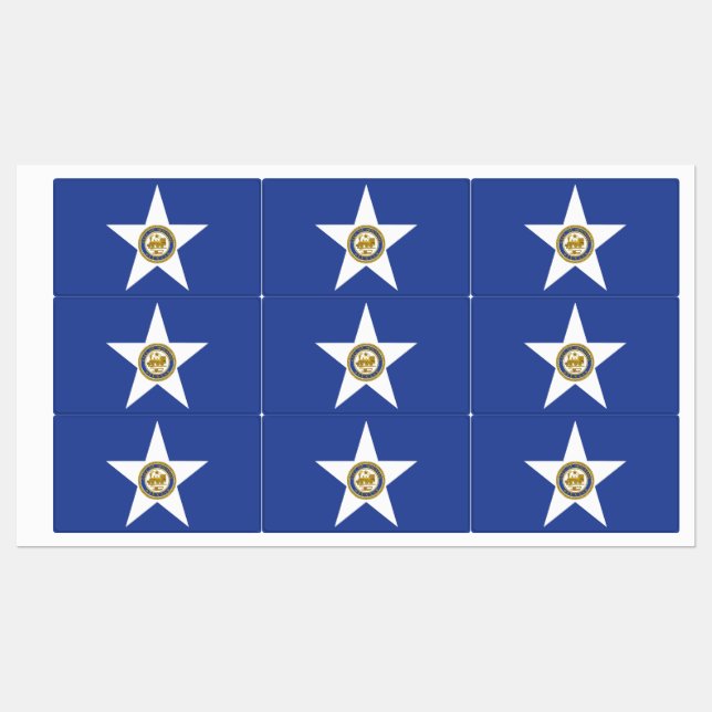 Patriotic labels with flag of Houston City (Sheet)