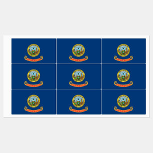 Patriotic labels with flag of Idaho State