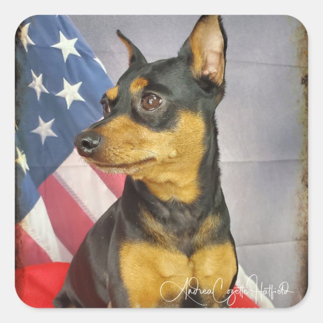 Patriotic MinPIn Square Sticker (Front)