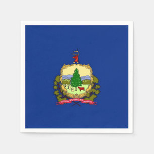 Patriotic paper napkins with Vermont flag