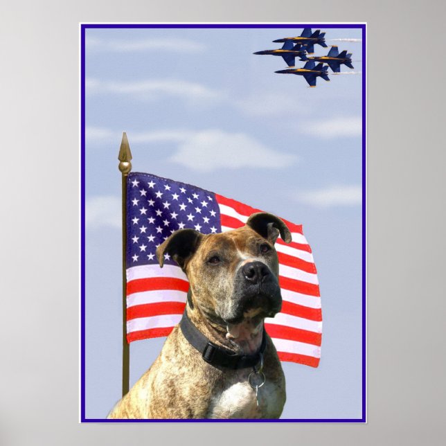 Patriotic pitbull poster (Front)