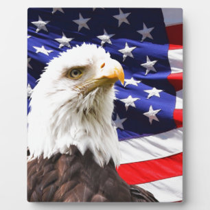 Patriotic Plaque