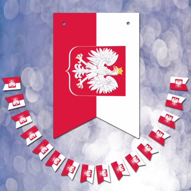 Patriotic Polish Flag bunting banners, Poland (Creator Uploaded)