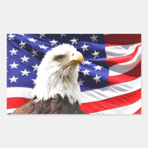 Patriotic Rectangular Sticker