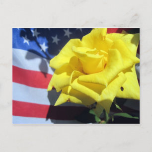Patriotic Rose Postcard