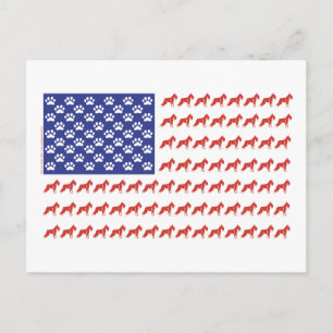 Patriotic Schnauzer dog/USA Postcard