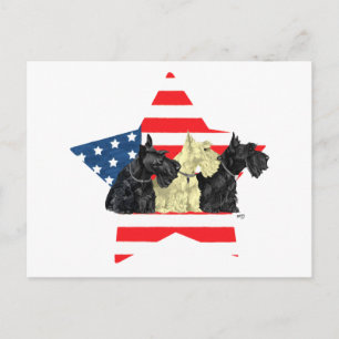 Patriotic Scottish Terriers on Star Postcard