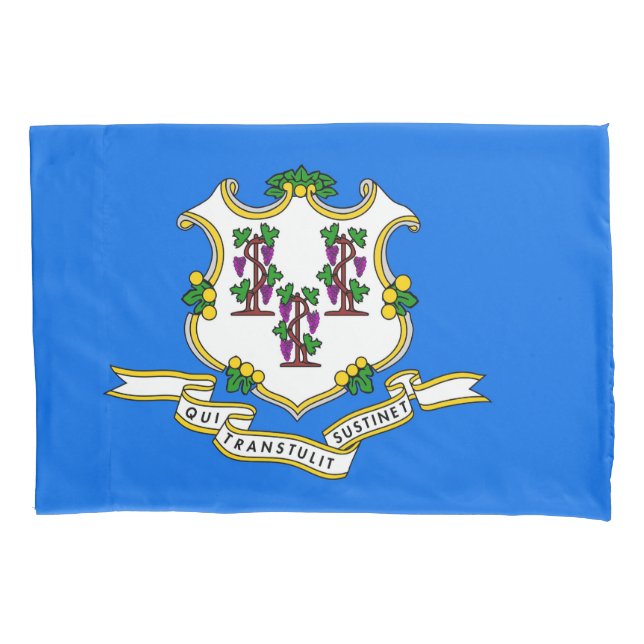 Patriotic Single Pillowcase flag of Connecticut (Front)