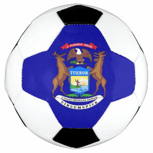 Patriotic Soccer Ball with Flag of Michigan