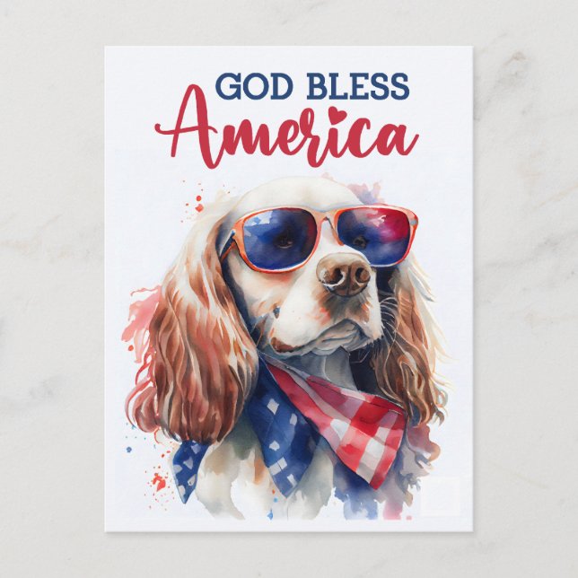 Patriotic Spaniel Dog, God Bless America Postcard (Front)