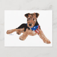 Patriotic Terrier Puppy