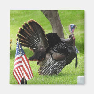 Patriotic Turkey Strut Magnet