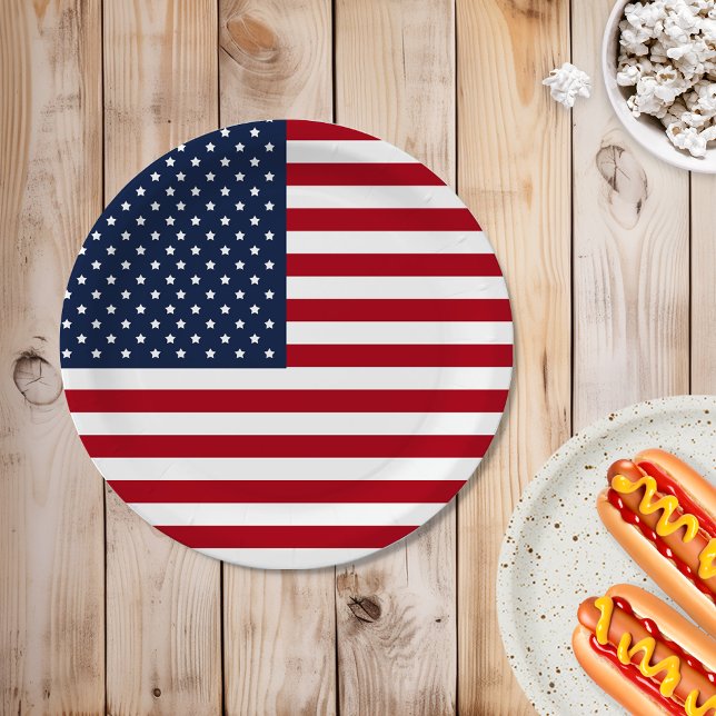 Patriotic USA American Flag Paper Plate (Creator Uploaded)