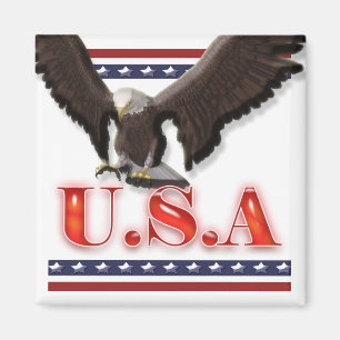 Patriotic USA eagle stars stripes Magnet