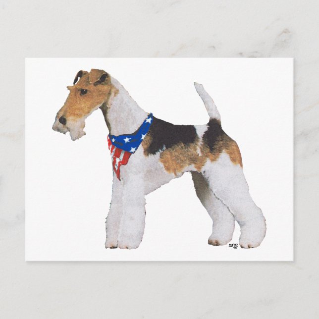 Patriotic Wire Fox Terrier Postcard (Front)