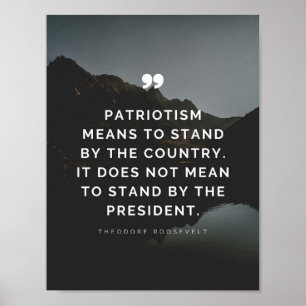 Patriotism means to stand by the country poster