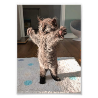 Patsy the bear photo print