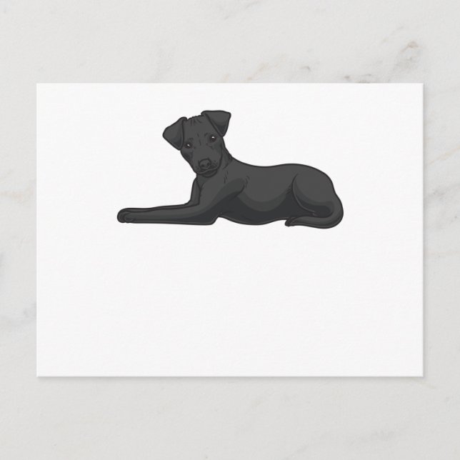 Patterdale Terrier Dog Postcard (Front)