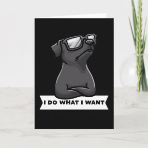 Patterdale terrier I Do What I Want Stubborn Dog Card