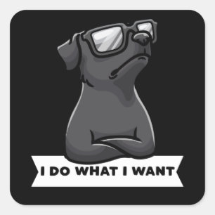 Patterdale terrier I Do What I Want Stubborn Dog Square Sticker