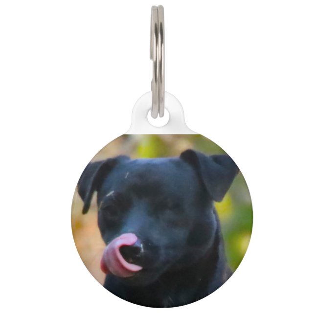 Patterdale Terrier. Pet Tag (Front)
