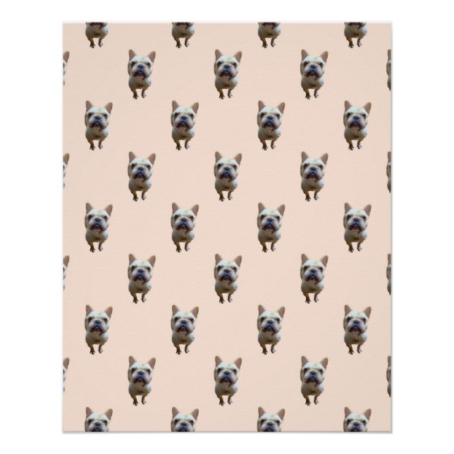pattern_1_french bulldog_1 glossy poster (Front)