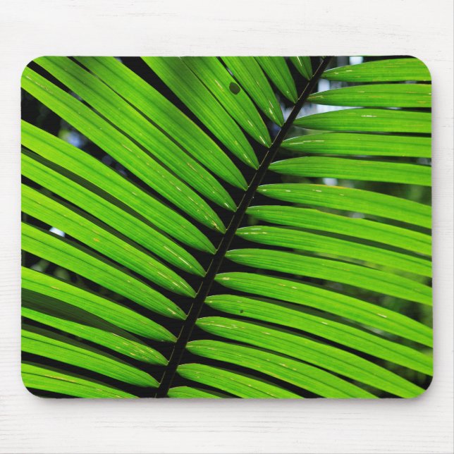 Pattern Of Fern Leaves Mouse Pad (Front)