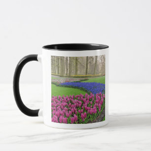 Pattern of Grape Hyacinth, tulips, and 2 Mug