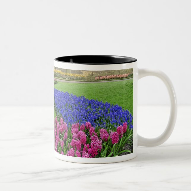 Pattern of Grape Hyacinth, tulips, and 2 Two-Tone Coffee Mug (Right)