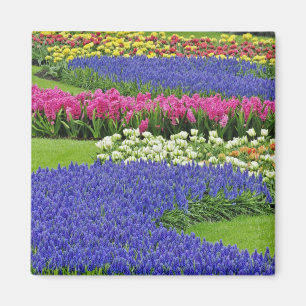 Pattern of Grape Hyacinth, tulips, and 3 Magnet