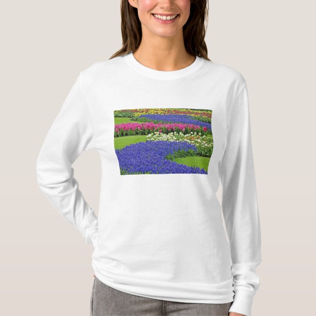 Pattern of Grape Hyacinth, tulips, and 3 T-Shirt (Front)