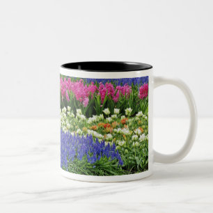 Pattern of Grape Hyacinth, tulips, and 3 Two-Tone Coffee Mug