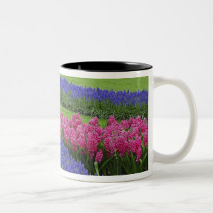 Pattern of Grape Hyacinth, tulips, and Two-Tone Coffee Mug