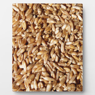 pattern of many small fresh wheat grains plaque