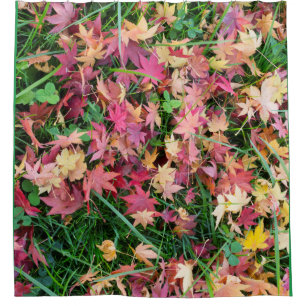 Pattern of the falling leaves shower curtain