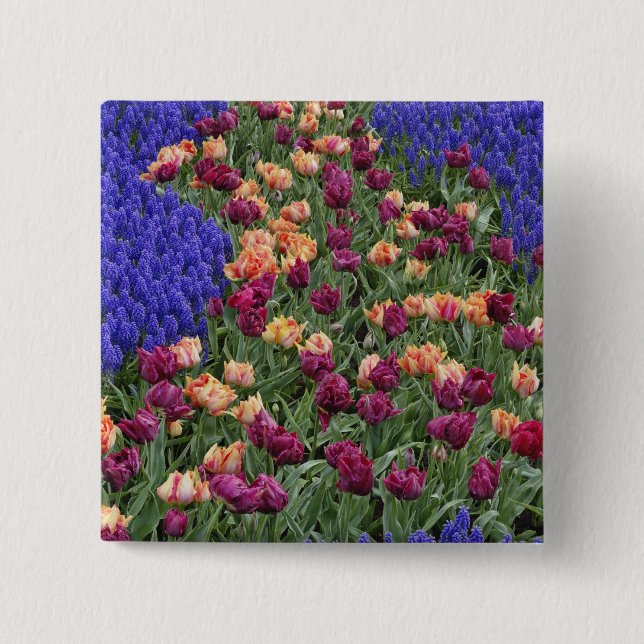 Pattern of tulips and Grape Hyacinth flowers, 15 Cm Square Badge (Front)