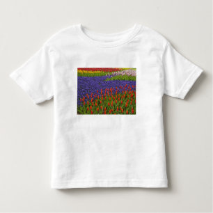 Pattern of tulips and grape hyacinth flowers, 2 toddler T-Shirt
