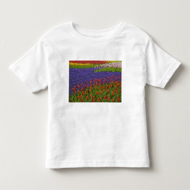 Pattern of tulips and grape hyacinth flowers, 2 toddler T-Shirt (Front)
