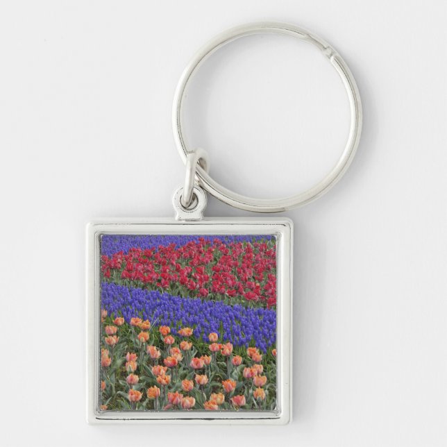 Pattern of tulips and Grape Hyacinth flowers, 3 Key Ring (Front)