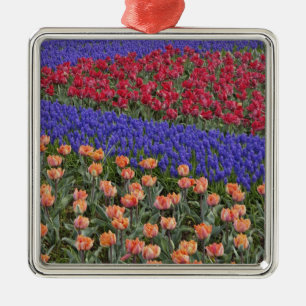 Pattern of tulips and Grape Hyacinth flowers, 3 Metal Ornament