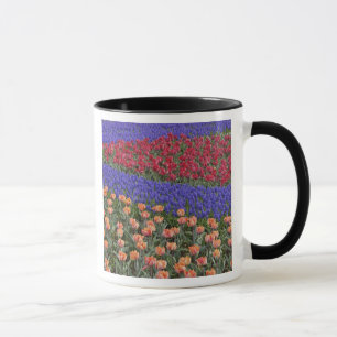 Pattern of tulips and Grape Hyacinth flowers, 3 Mug