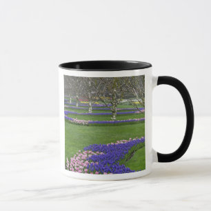 Pattern of tulips and Grape Hyacinth flowers, 4 Mug