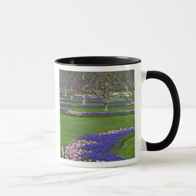 Pattern of tulips and Grape Hyacinth flowers, 4 Mug (Right)