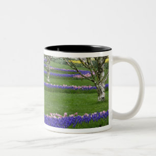 Pattern of tulips and Grape Hyacinth flowers, 4 Two-Tone Coffee Mug