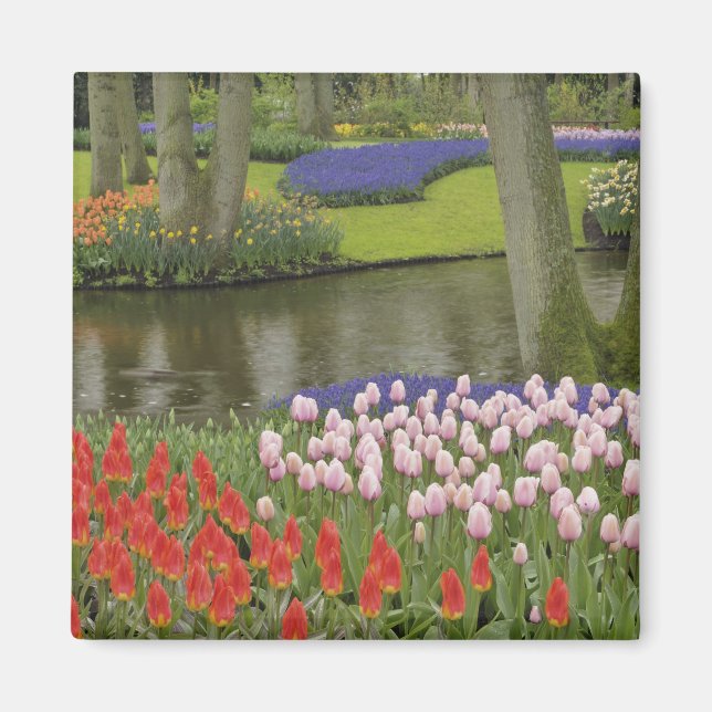 Pattern of tulips and grape hyacinth flowers, magnet (Front)