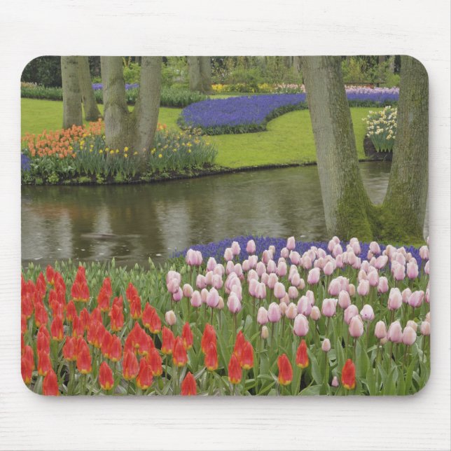 Pattern of tulips and grape hyacinth flowers, mouse pad (Front)