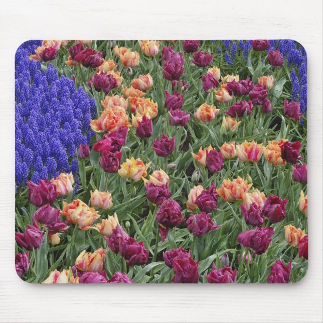 Pattern of tulips and Grape Hyacinth flowers, Mouse Pad (Front)